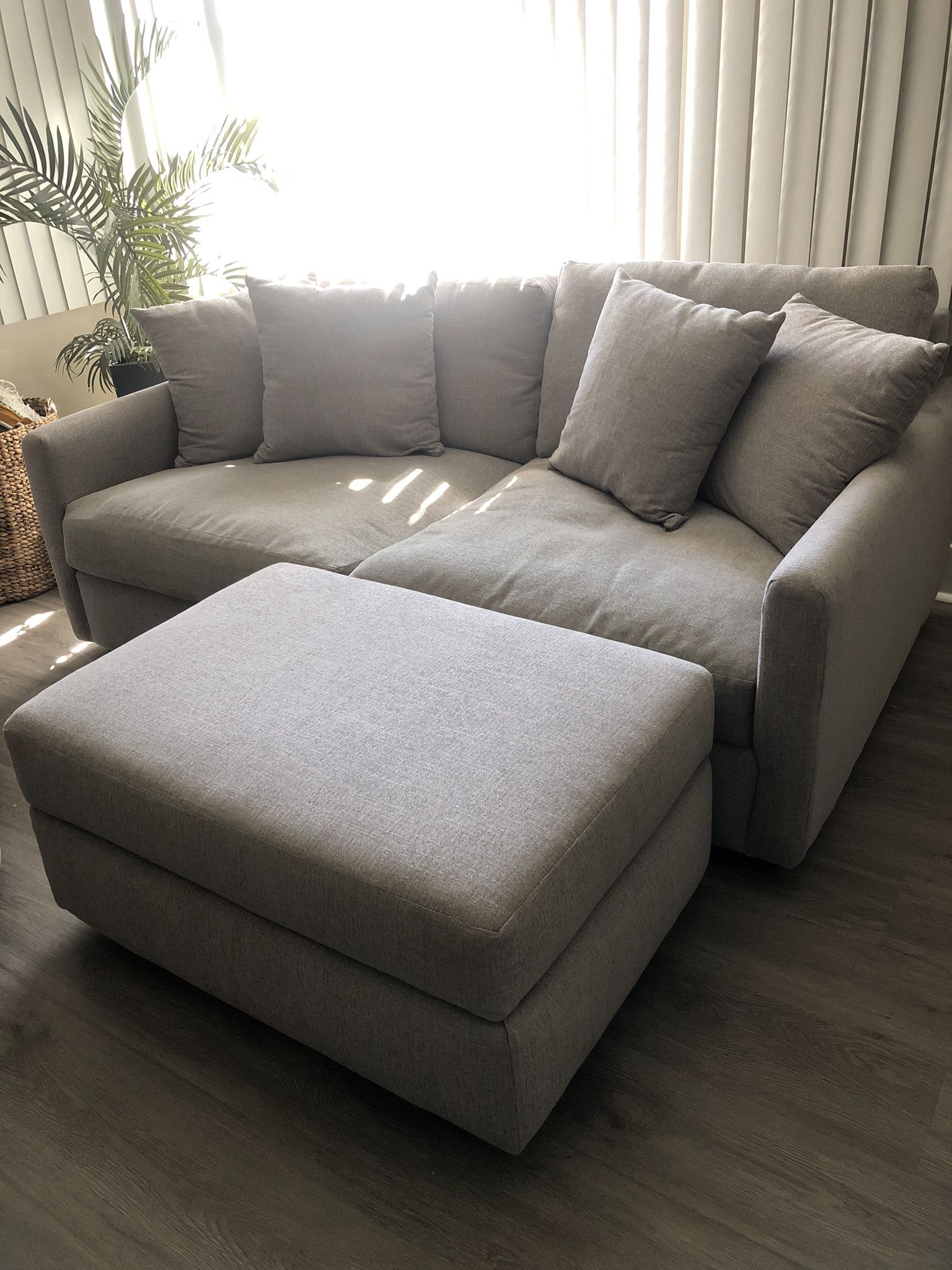 Loveseat And Ottoman