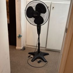 Fan 