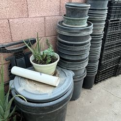 So Many Different Sizes Buckets Plants Planters