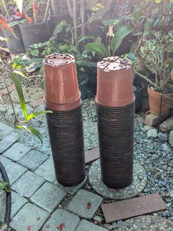 25 botes para macetas de un galón $5