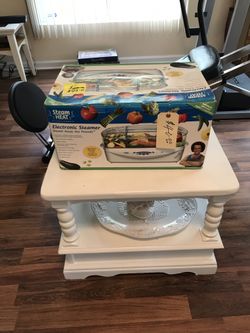 ELECTRONIC STEAMER