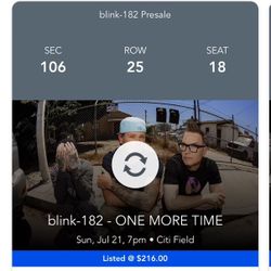 Blink 182 - Citi Field - 7/21 - Sec 106Row 25