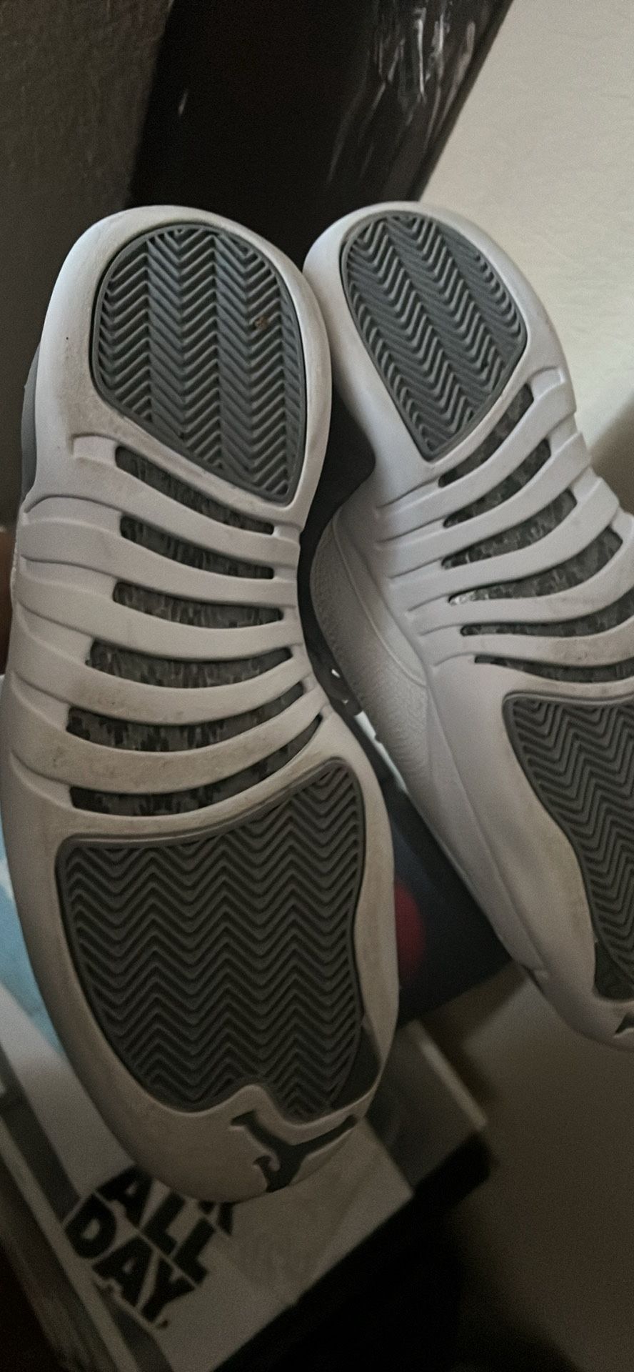 jordan 12s
