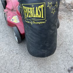 Everlast Punching Bag 