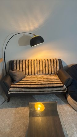 Wayfair living room set couchs, (the big one) love sac, coffee table and lamps..  perfect.