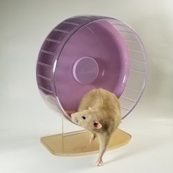 Niteangel Hamster Silent Exercise Wheel Small Pet 9.5" Cage Toy Clear Adjustable