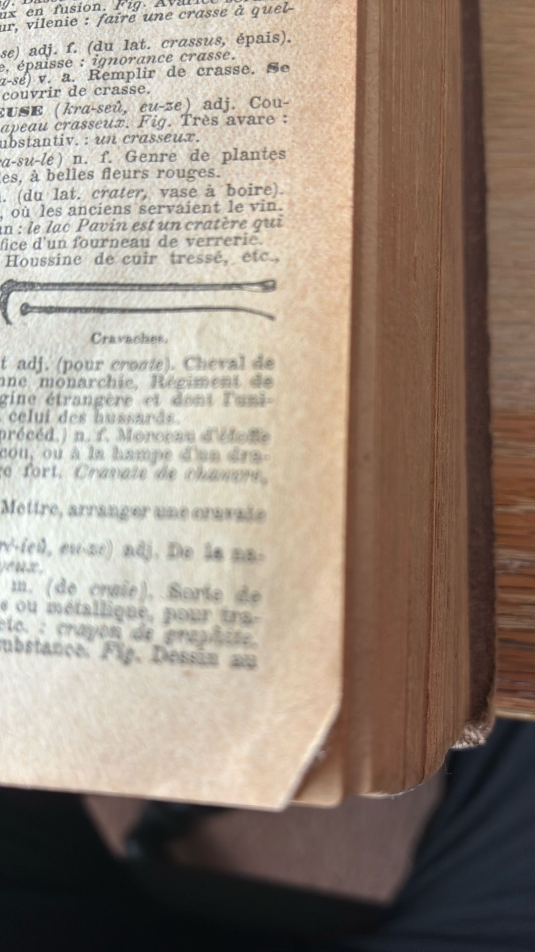 Petit Larousse Illustre Dictionnaire