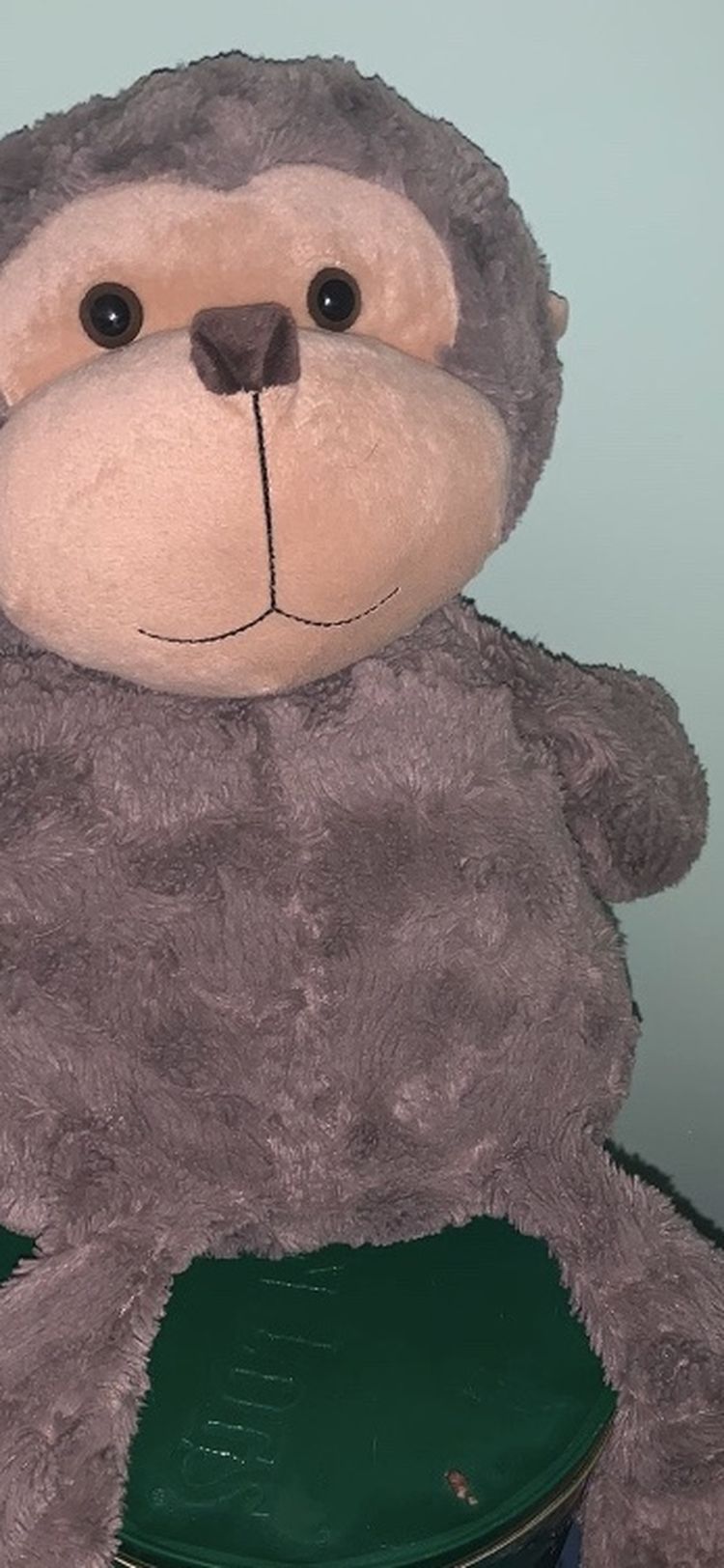 Big monkey stuffy