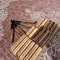 11 Piece Steak Knife Set