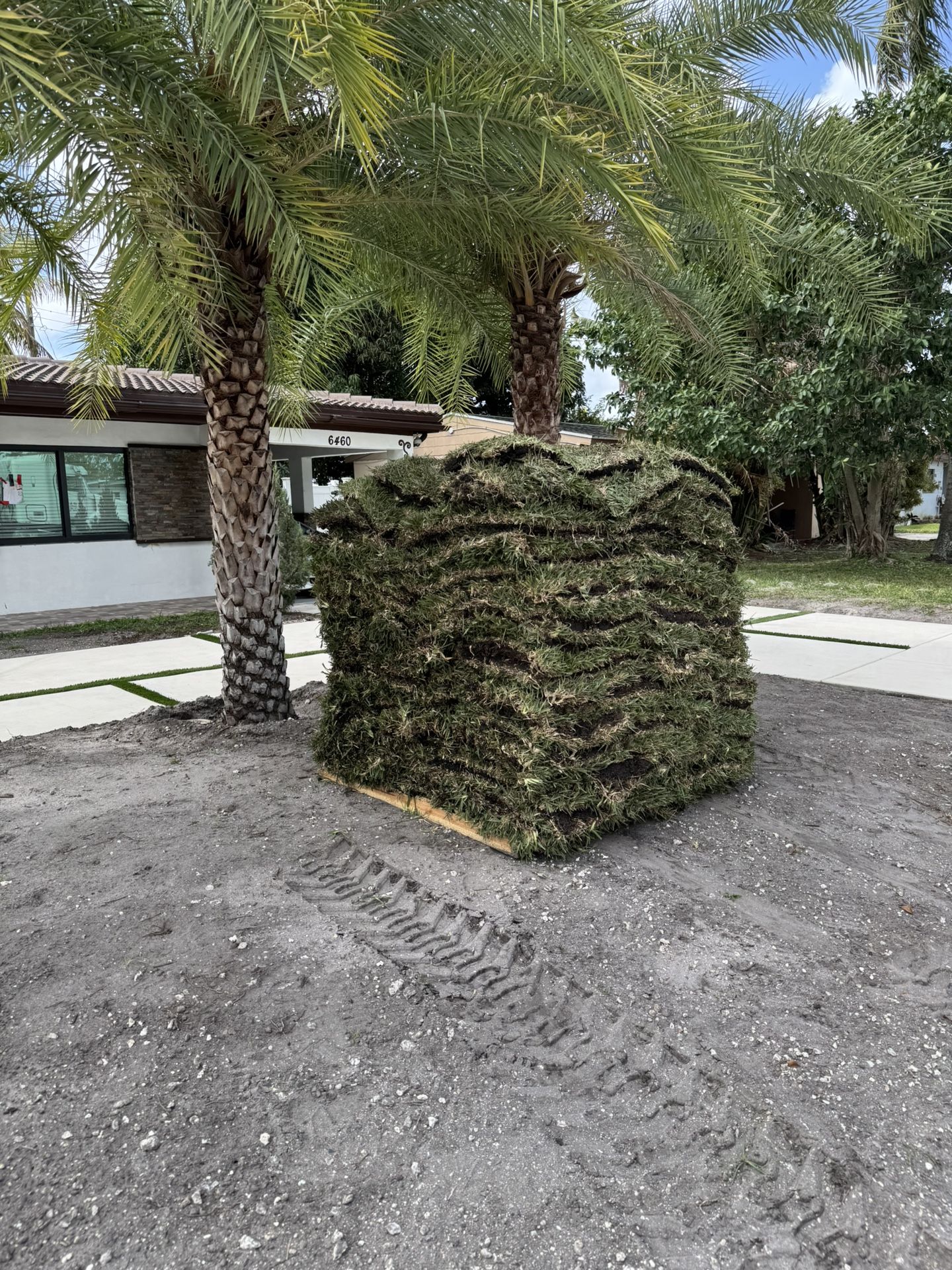 Palmettos Sod