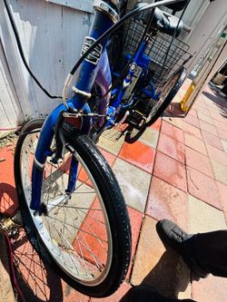 Beach cruiser