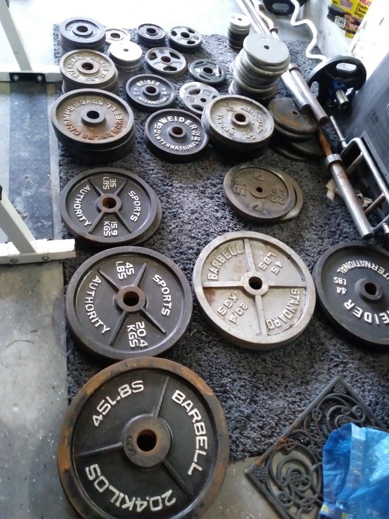 Weights dumbbells curl/bench bars bench press/squat machine weight tree/stand.