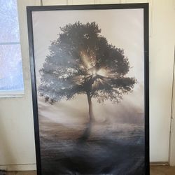 Framed Foggy Tree Canvas 
