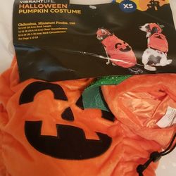 PET PUMPKIN Costume XS 