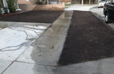 Grass seed