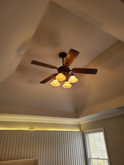 Two Wood Ceiling Fans