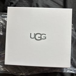 Ugg Shoe Cleaner