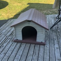 Dog House 