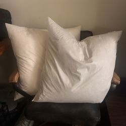 Two 24 X 24 IN Pillow Inserts