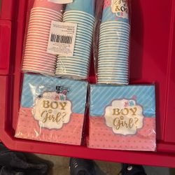 Gender Reveal 