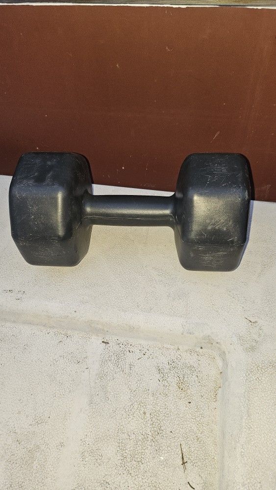 SERIES 8 TEN POUND DUMBELL GREAT CONDITION