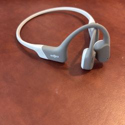 Shokz OpenRun Earphones