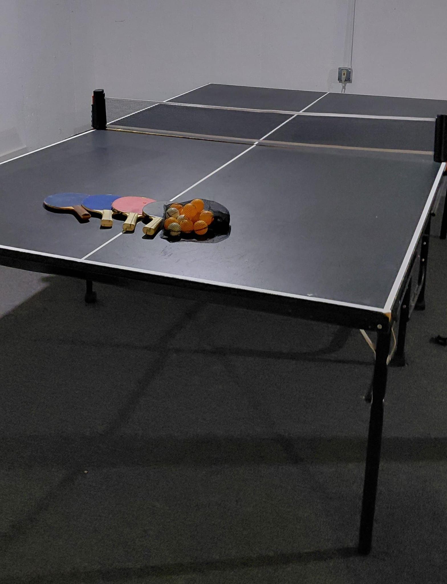 Ping Pong Table