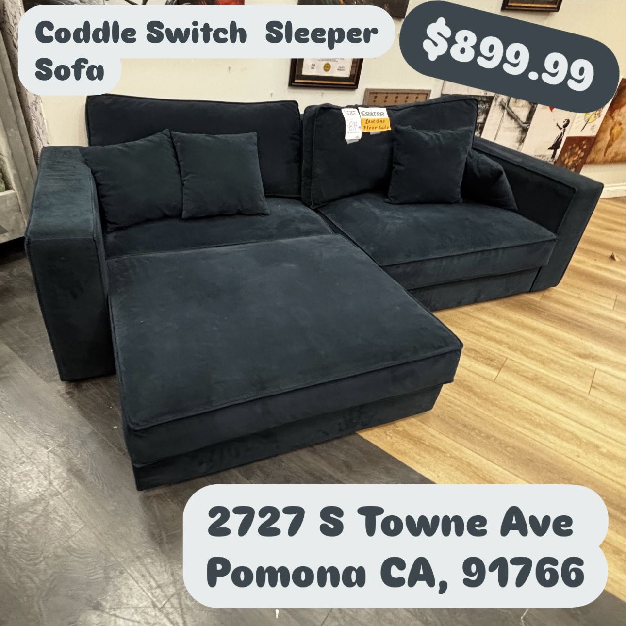 Coddle Switch Sleeper Sofa In Blue