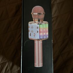 Karaoke Wireless Microphone