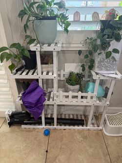 Plants stand