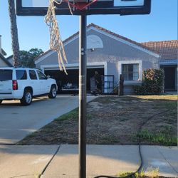 Lifetime Basketball Hoop