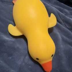 Squish Duck Toy