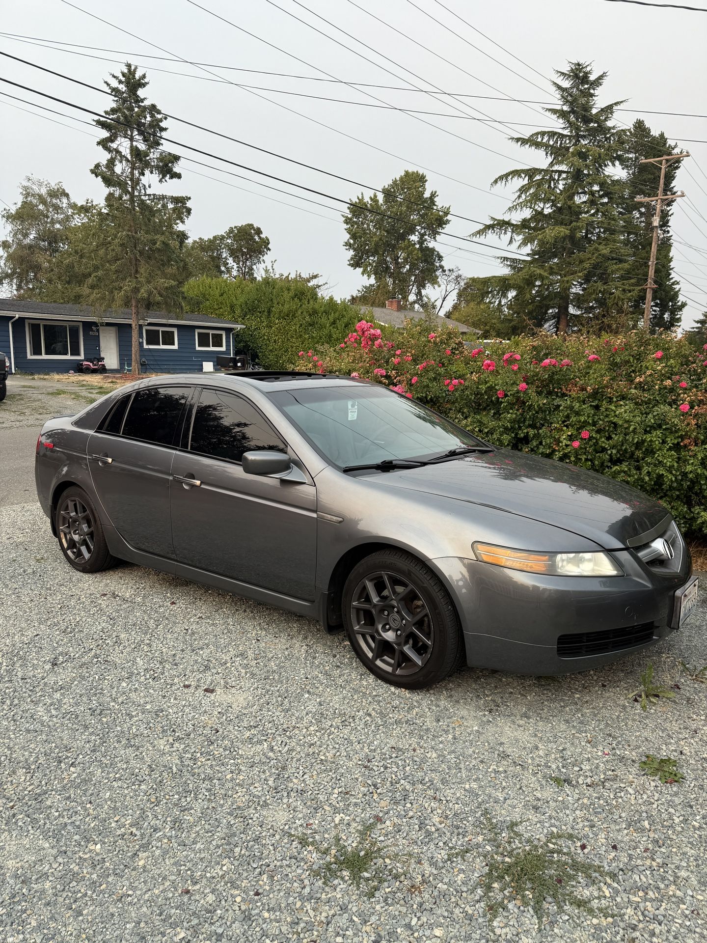 2005 Acura TL