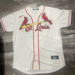 Albert Pujols (medium) City Altérnate St Louis Cardinals Baseball Jersey 
