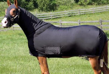 Full body horse slinky