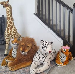 Plush Animals