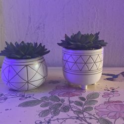 Fake Plant Decor