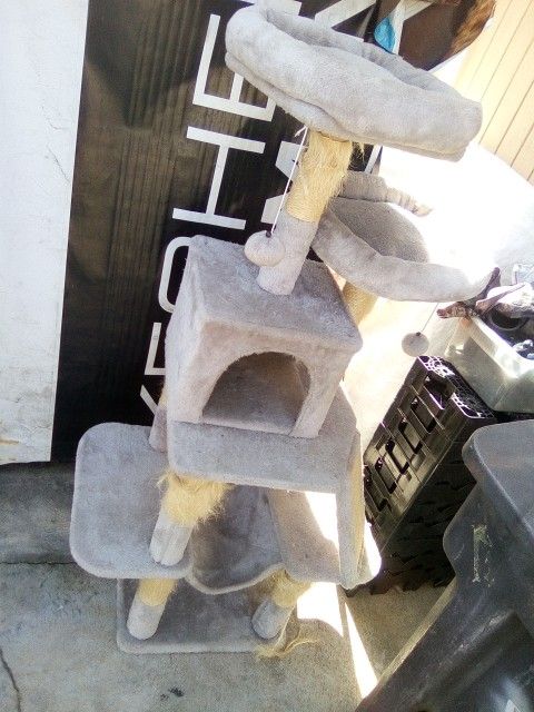 Cat Play House