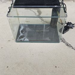 5 Gal Fish Tank