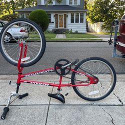 Old-School MONGOOSE MENACE MINI