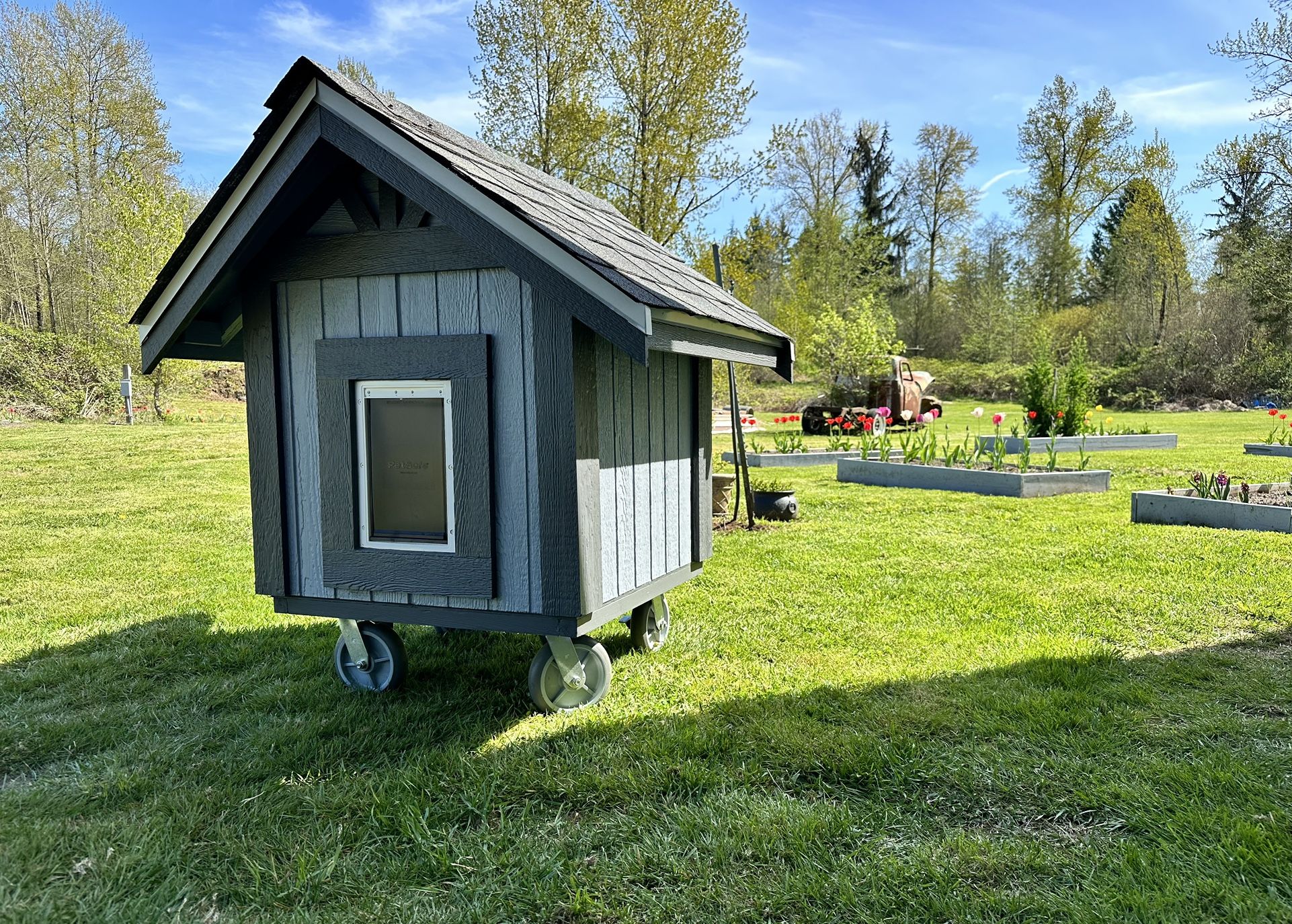 Dog House