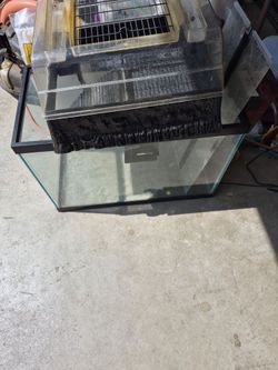 Turtle or fish tank