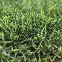  Snow Artificial Grass - Per Square Feet 