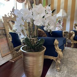 Very  Beautiful gorgeous flowers