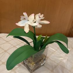 Beautiful Artificial Flower Plant In Glass With Stones 