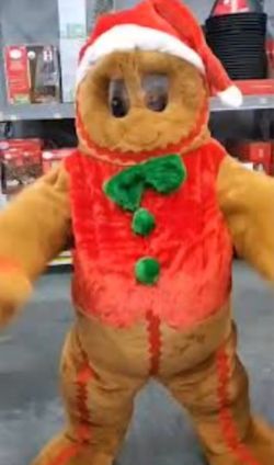 Gingerbread Christmas Costume