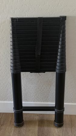 Telescopic Ladder