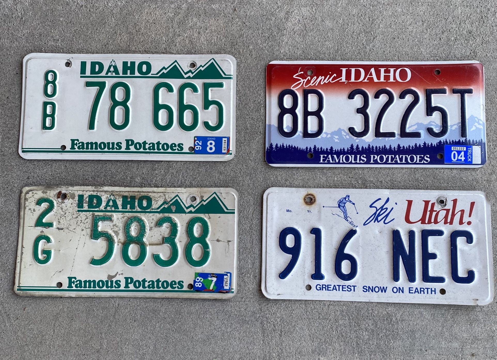 License Plates 
