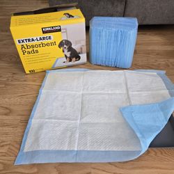 Pet Pads 1/2 box