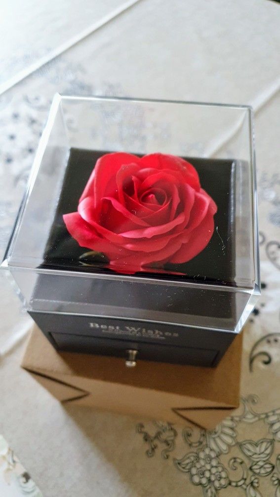 Rose Box With Silver Necklace 